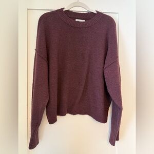 Medium American Eagle Burgundy So Soft Classic Crew Neck Sweater